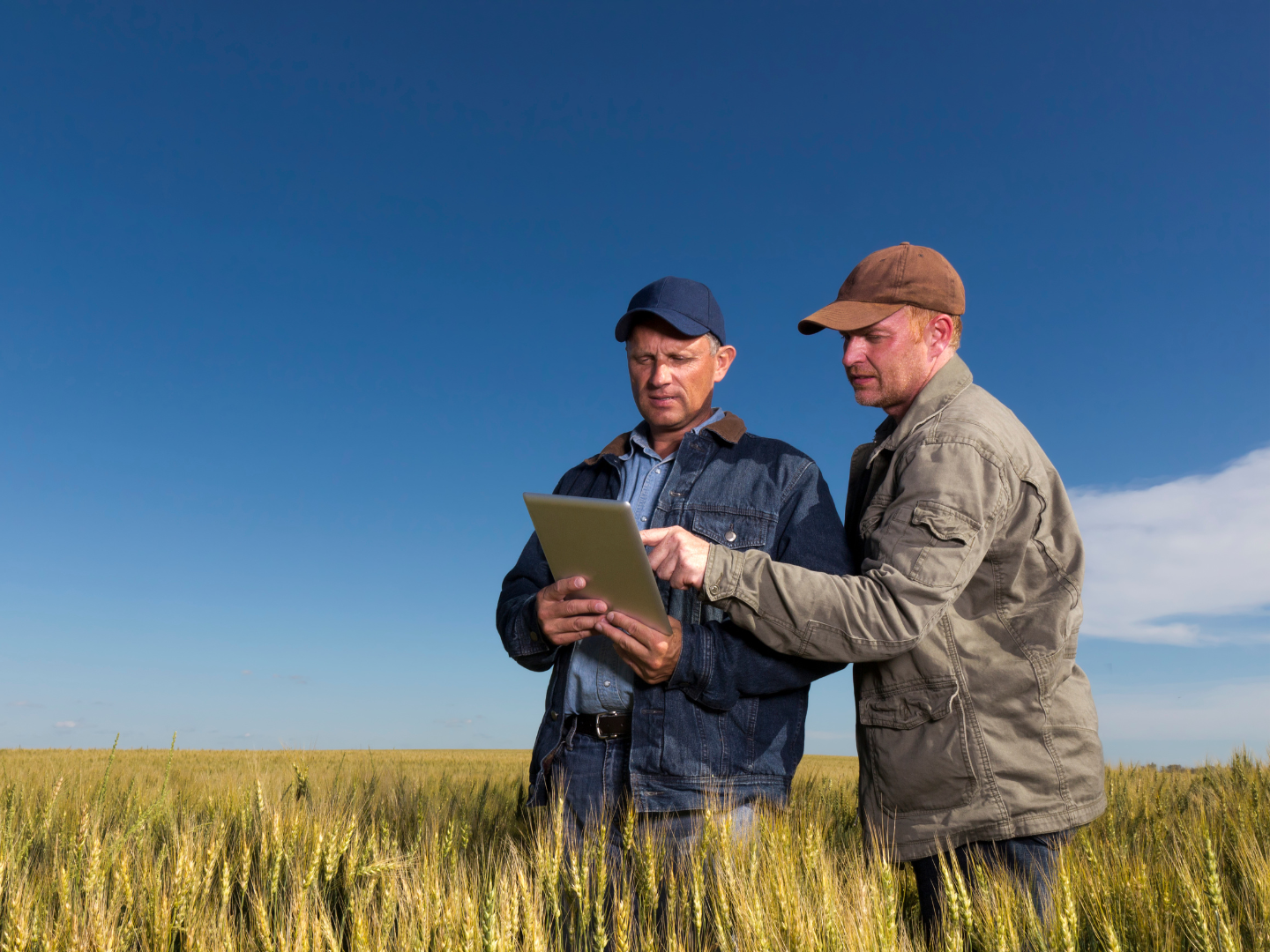 Man helping farmer make a decision